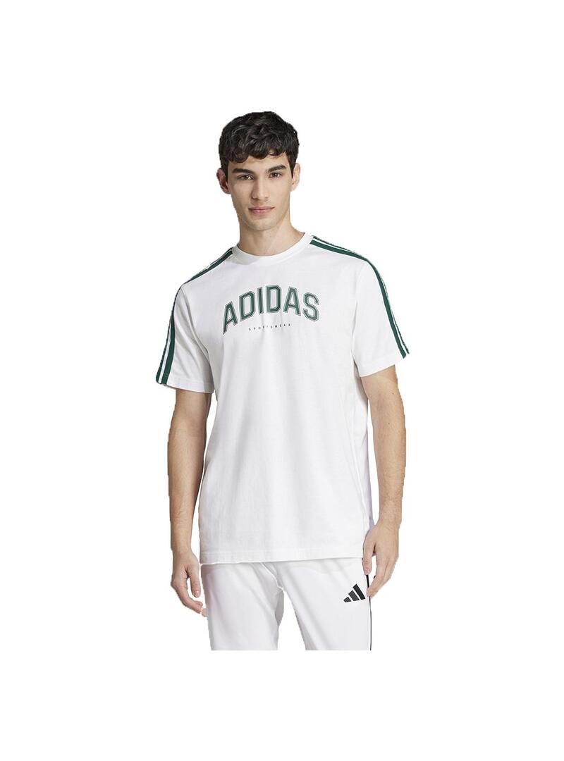 Camiseta Adidas m c colleg t
