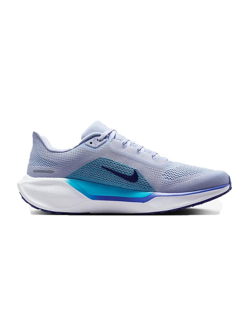 Zapatilla Nike air zoom pegasus 41