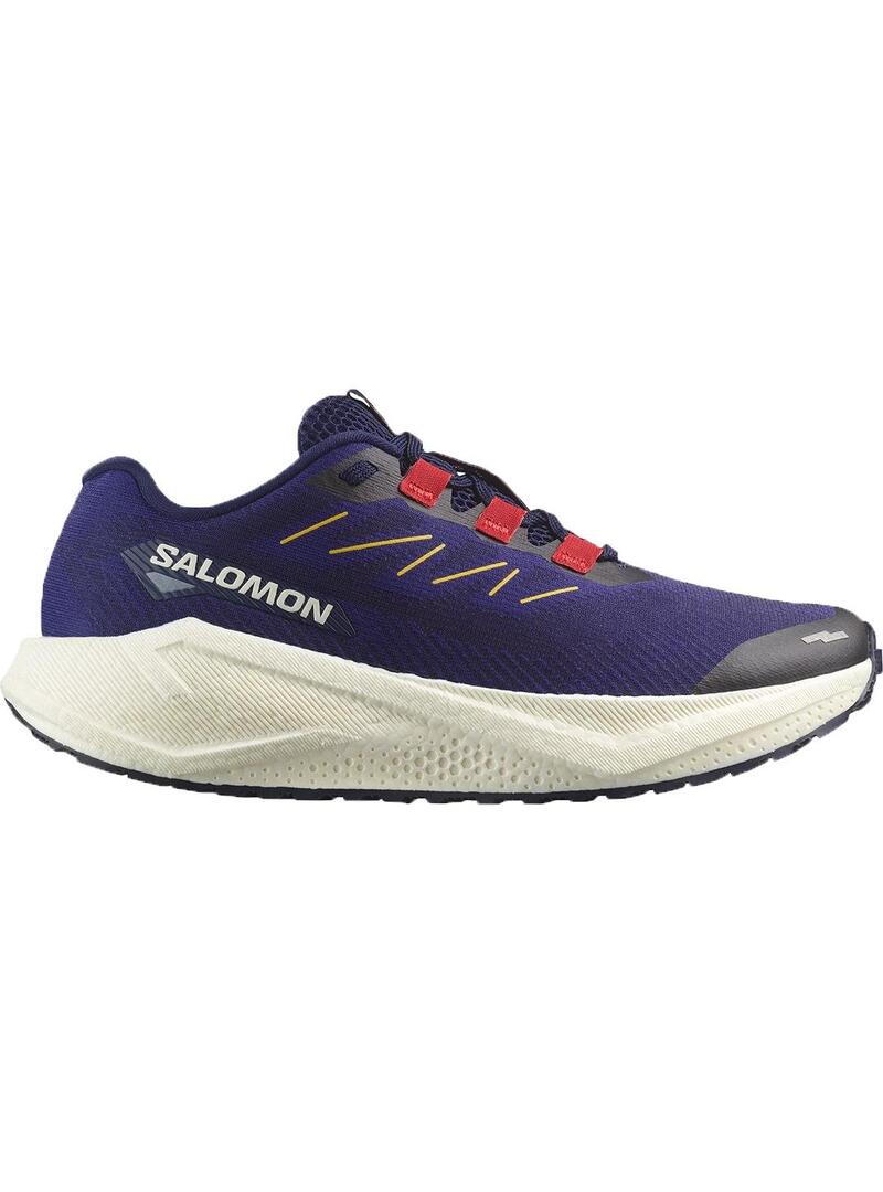 Zapatilla Salomon Aero blaze 3 gr vl