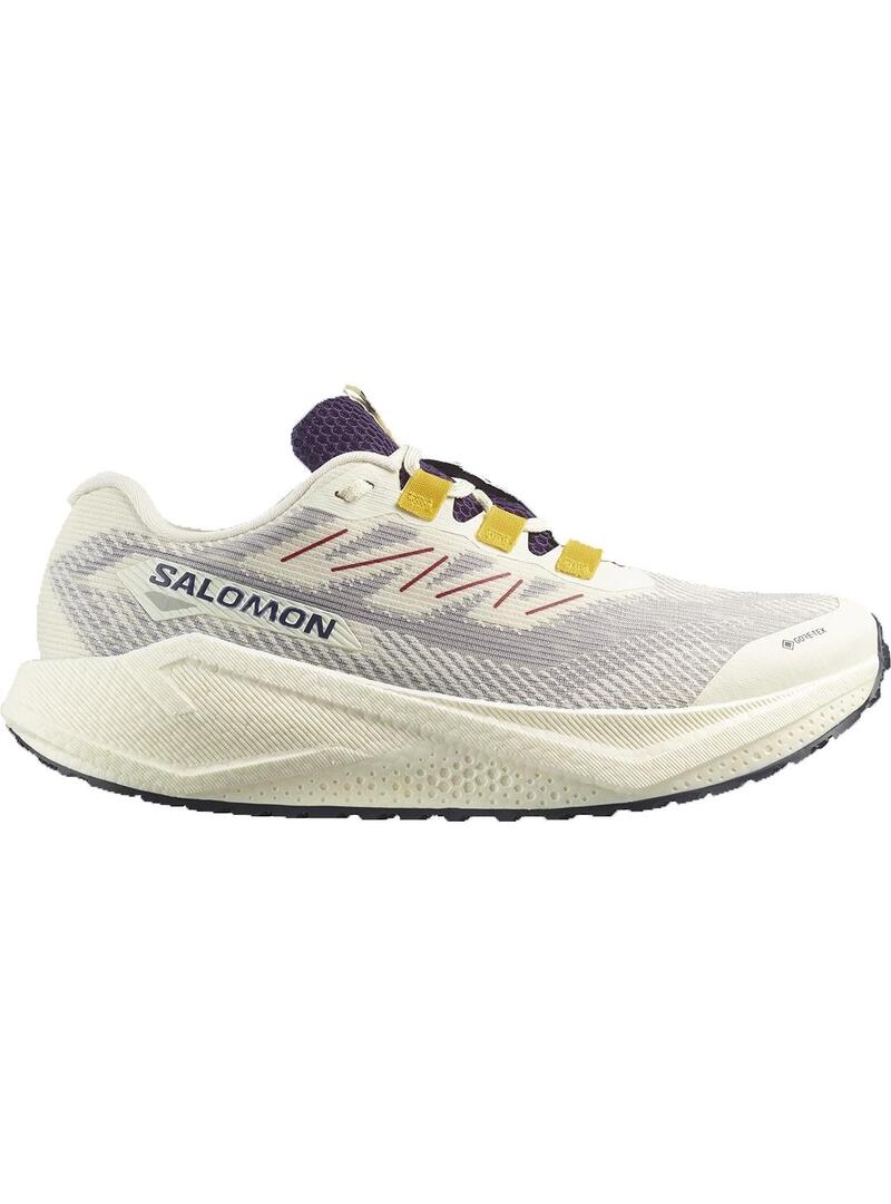 Zapatilla Salomon Aero Balze 3 grvl goretex