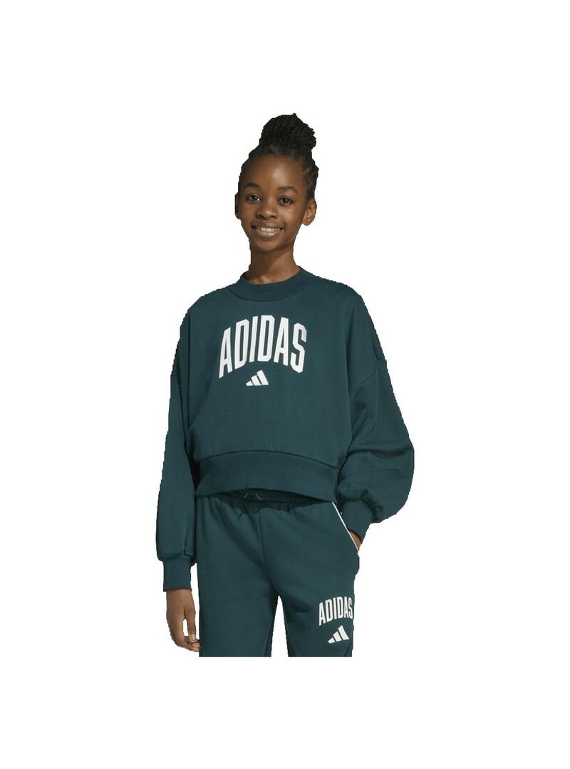 Sudadera Adidas collegiate