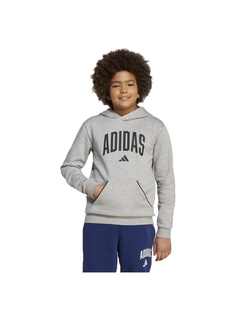 Sudadera Adidas Collegiate fleece